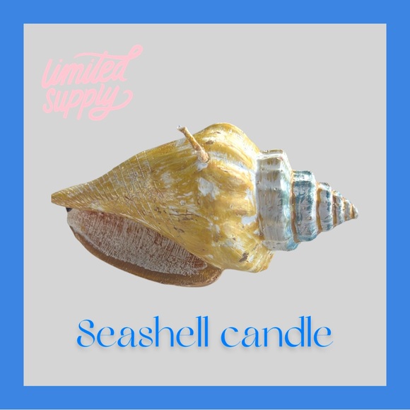 ✅ (GIFTED) Seashell Candle from Cape Coral 🪸 Florida - Picture 1 of 1